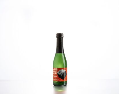 Riesling Sekt für bewegte Zeiten 24x0,20