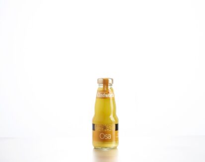Klindworth Orangensaft 24x0,20