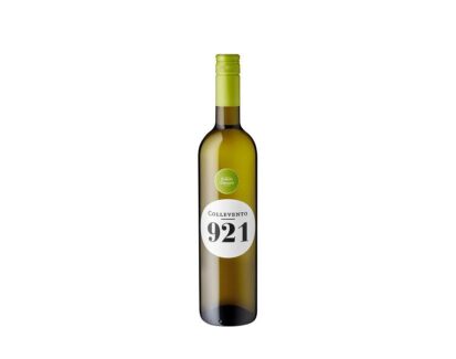 Pinot Grigio "Collovento 921" 6x0,75