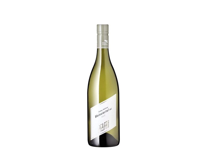 Grüner Veltliner "Haiden" Pfaffl 6x0,75