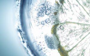 mineralwasser